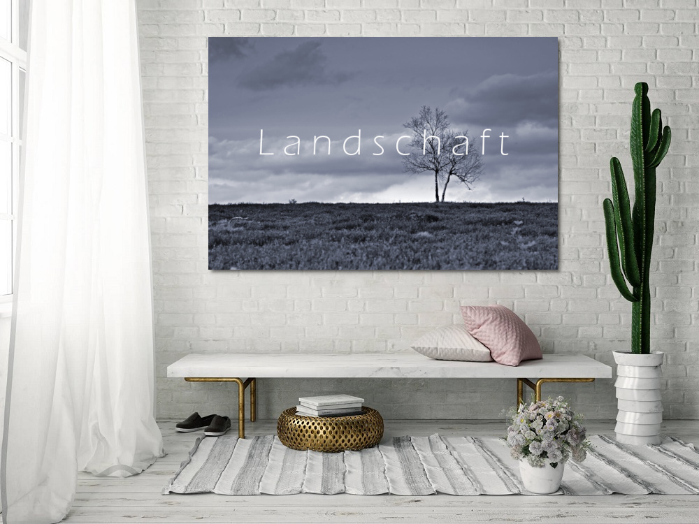 Landschaft